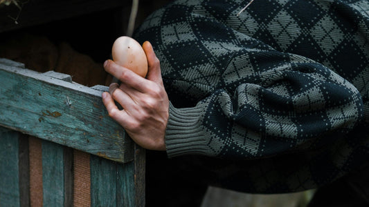 The Organic Revolution: Why Ethical and Healthy Eggs Are the New Luxury - Erverte Paris